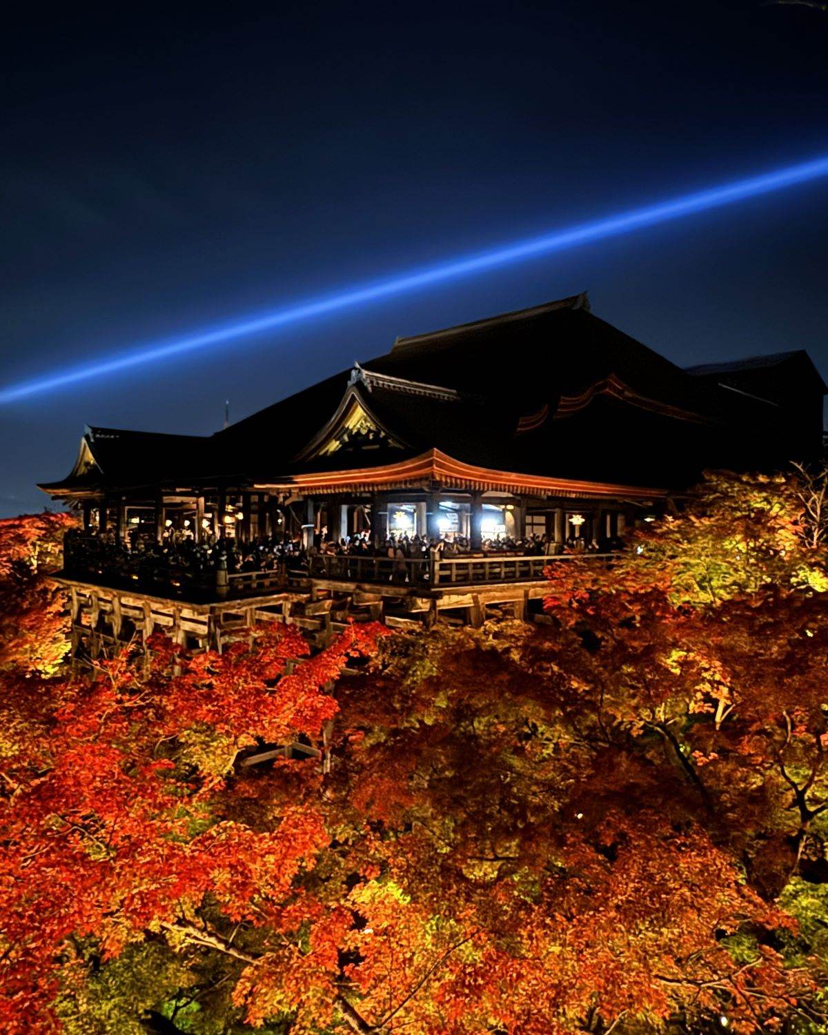 日本京都清水寺夜間參拜期間，亮起的木造本堂舞台及紅色秋楓，上空是藍色光束。