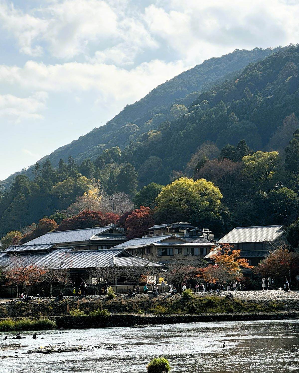 日本京都桂川河畔的傳統日式建築，兩旁是秋日樹木，遠處是嵐山。