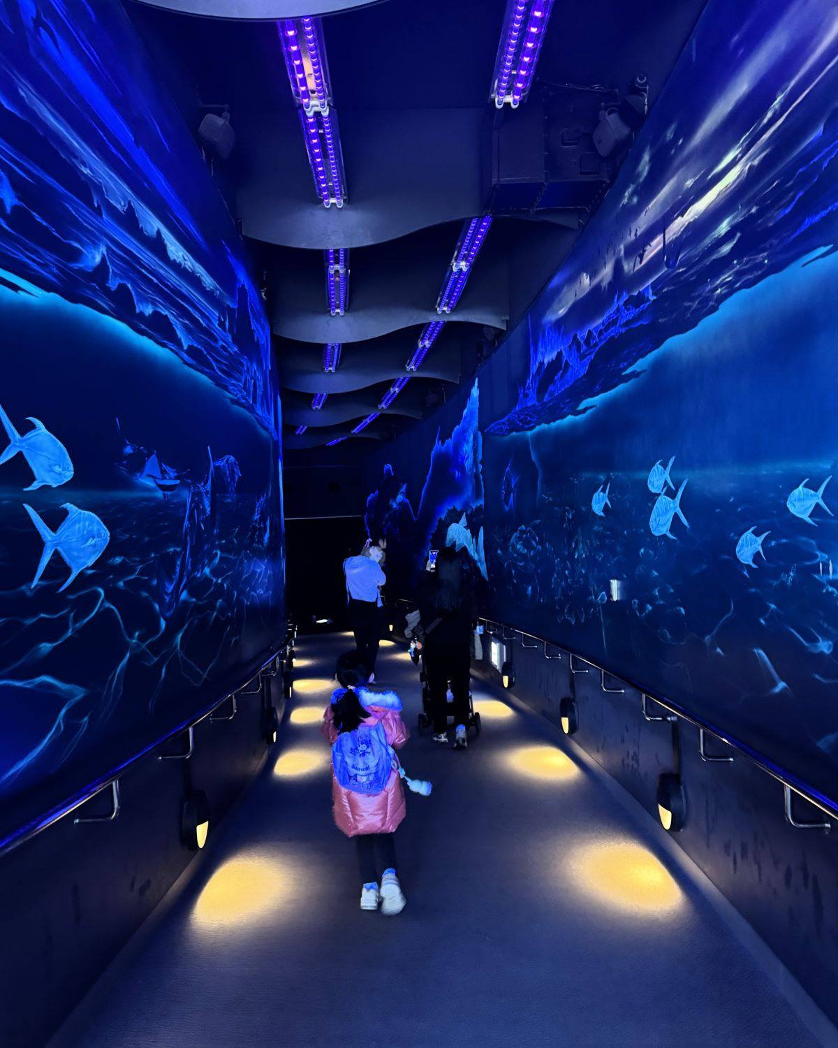 Blue-lit indoor aquarium corridor featuring marine life wall murals at Marine World Uminonakamichi in Fukuoka, Japan.