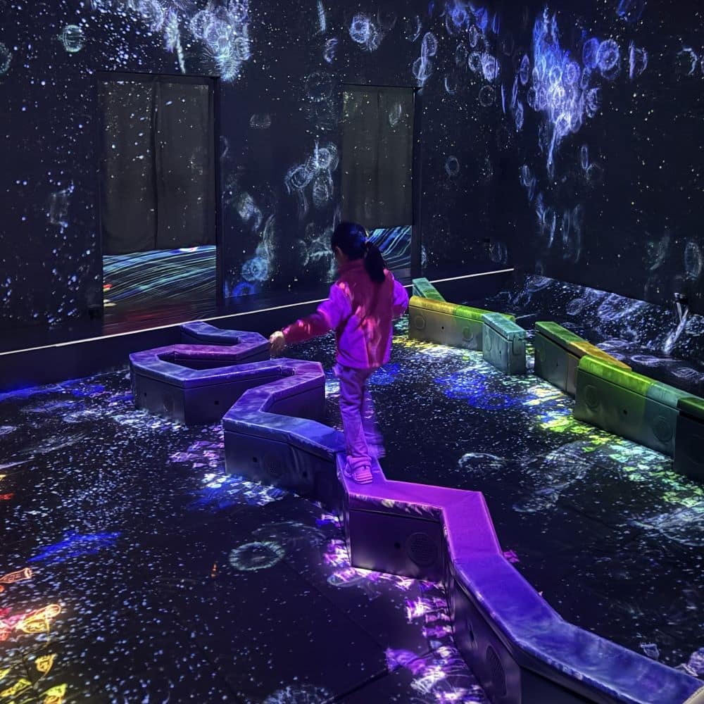 teamLab Forest 福岡的過橋活動