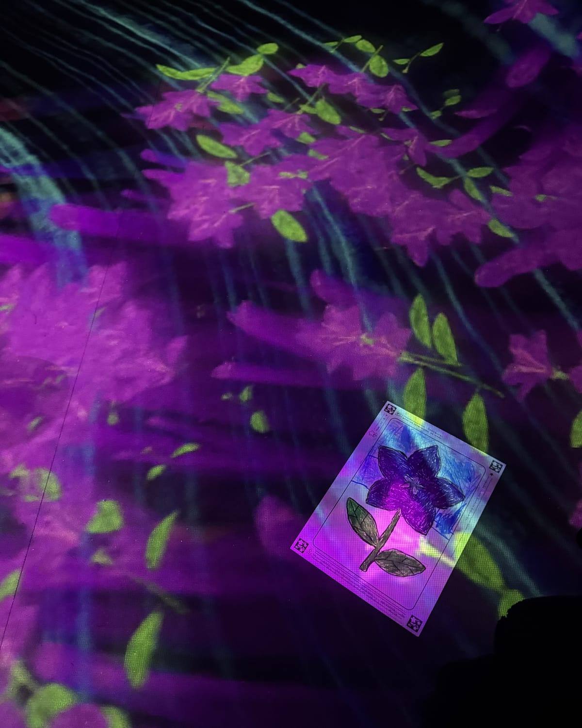 Interactive digital flower card display set against illuminated floral projections at teamLab Forest Fukuoka in Japan.