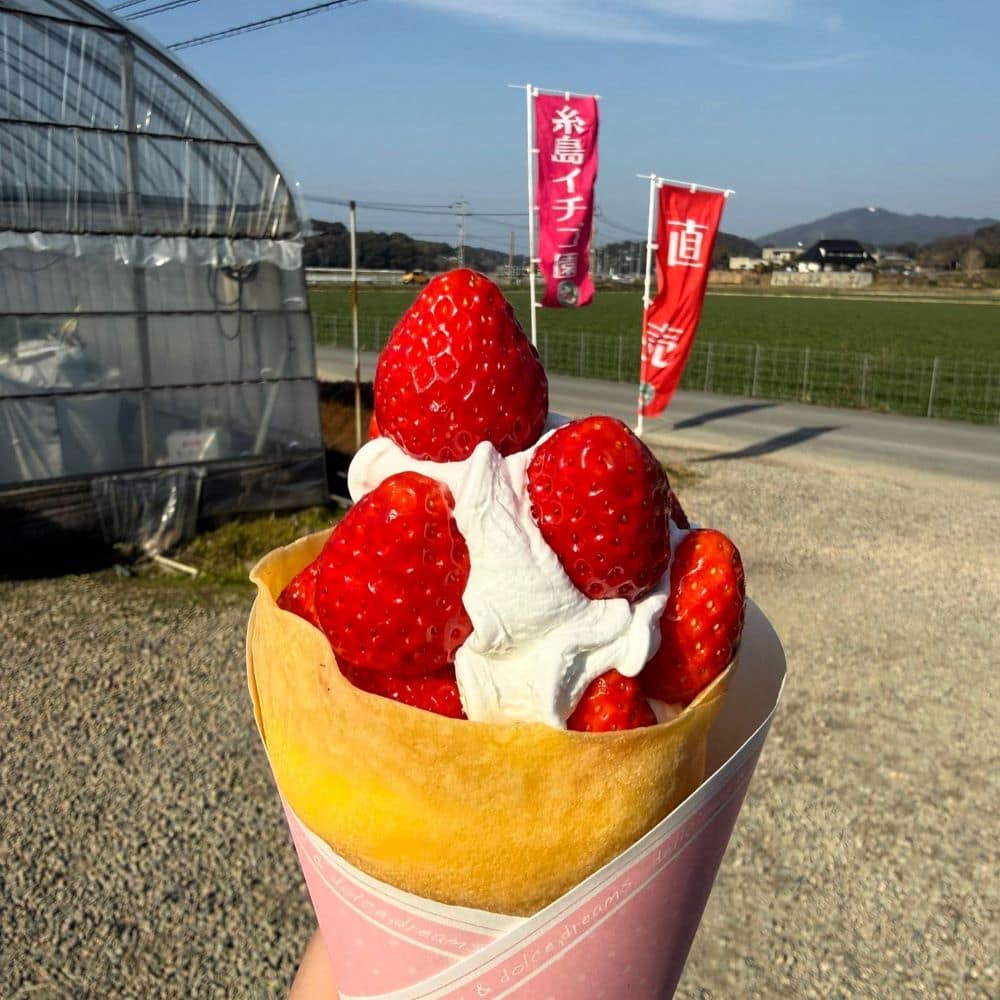Fresh strawberry and whipped cream crepe served outside a local strawberry farm greenhouse in Itoshima, Fukuoka Prefecture, Japan.