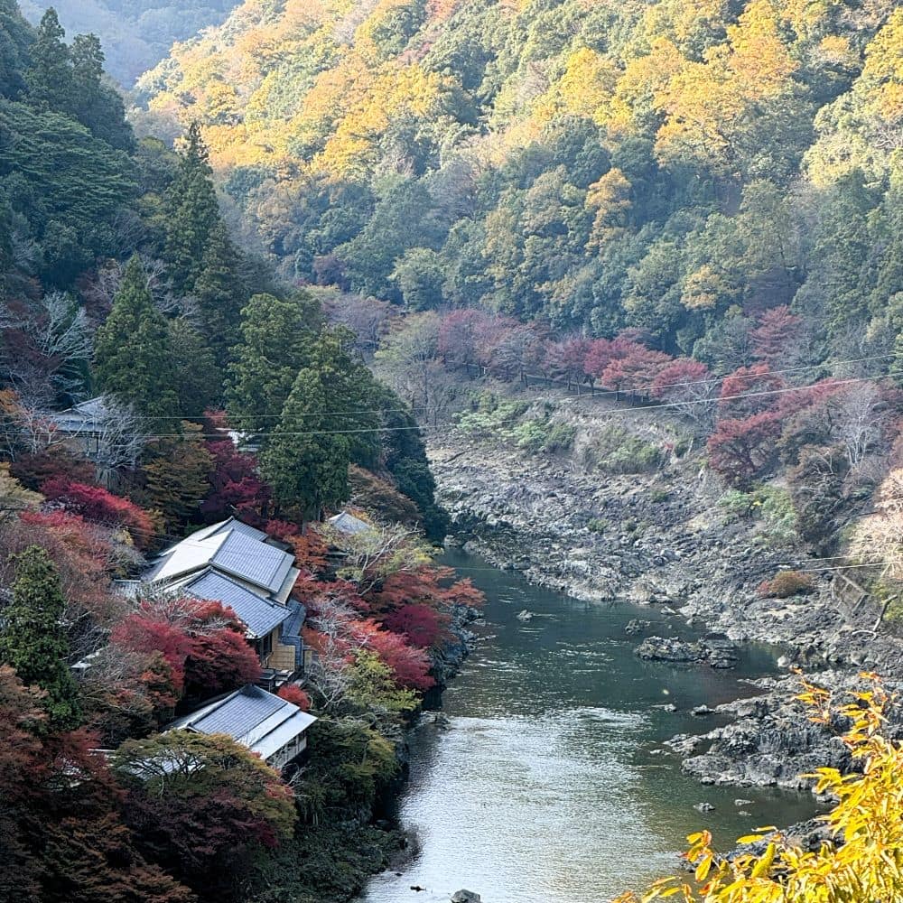 High-angle view of the Hozu River gorge framed by vibrant autumn foliage and traditional riverfront inns from the Arashiyama Park Observation Deck in Kyoto, Japan.