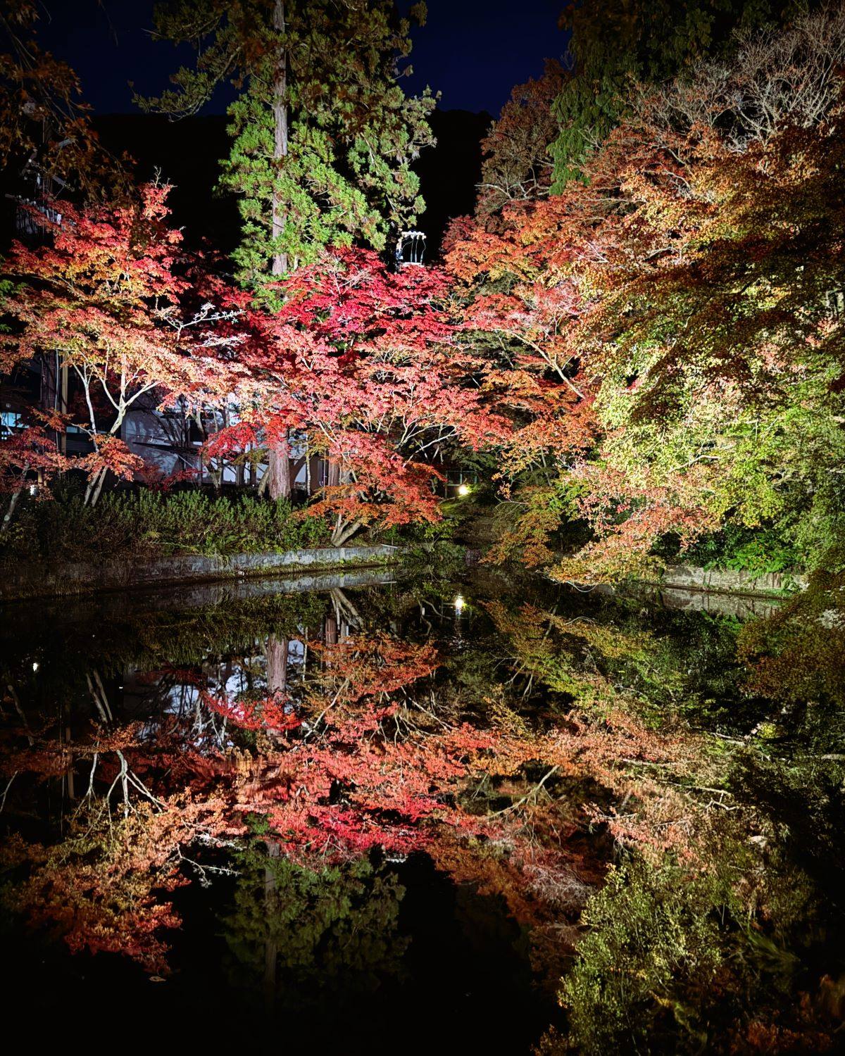 Vibrant red and orange autumn foliage illuminated at night with a mirror-like pond reflection at Kiyomizu-dera Temple in Kyoto, Japan.