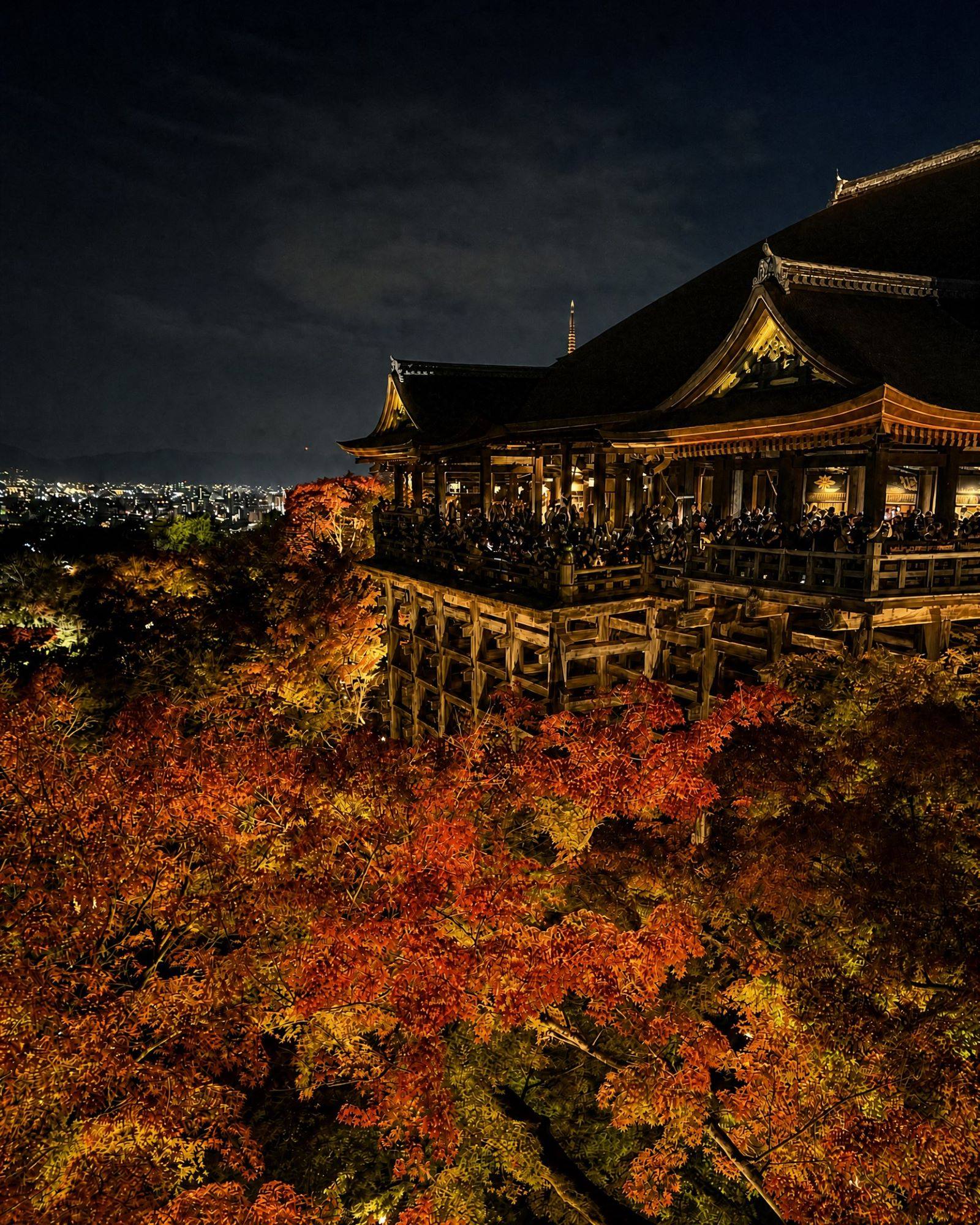 日本京都清水寺標誌性的木造舞台,在夜間點燈下的秋日紅葉景致,背後是京都城市天際線。