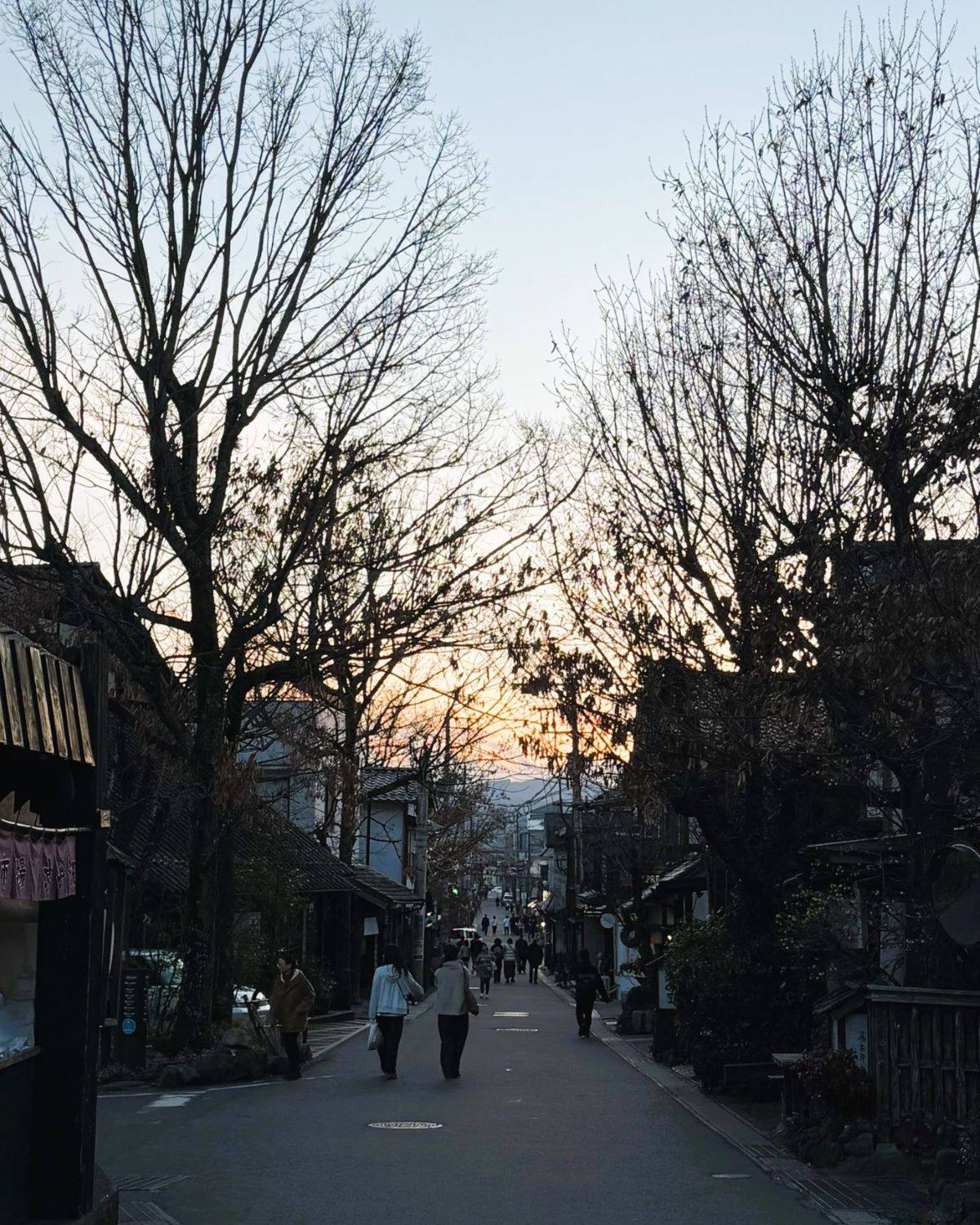 日本大分縣由布院商店街的傍晚街景,冬季樹木光禿與日落天空。