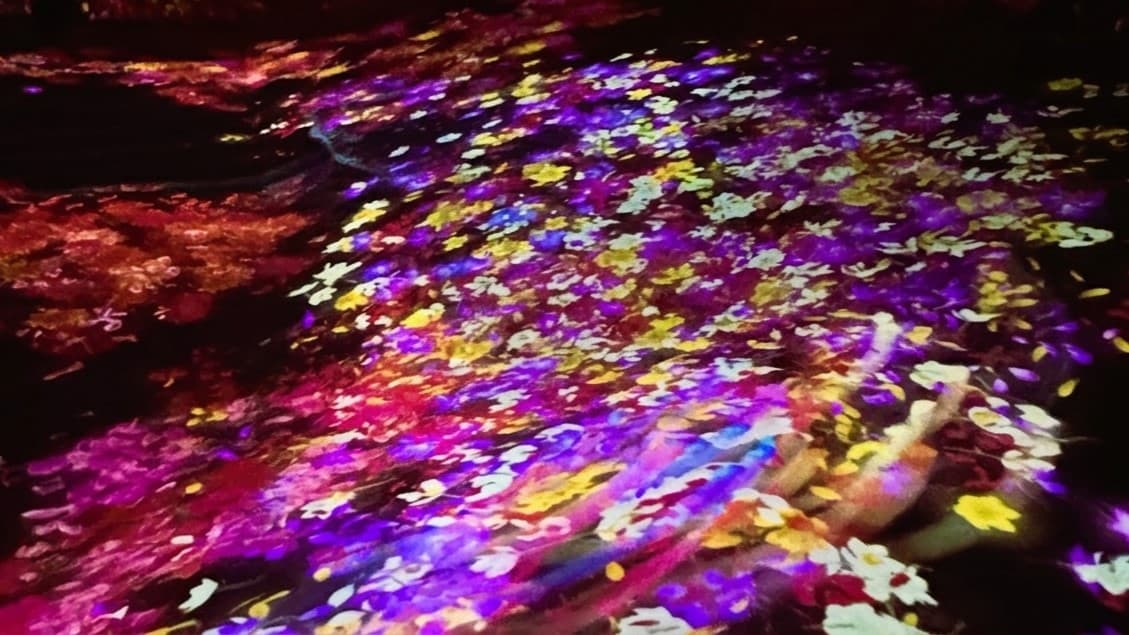 Interactive floral digital art projection installation at teamLab Forest Fukuoka in Japan.